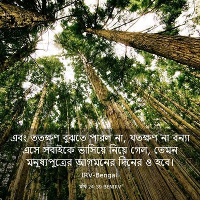 Picture 03 - মথি 24:39 BENIRV - এবং ততক্ষণ বুঝতে - Bible Verse Picture