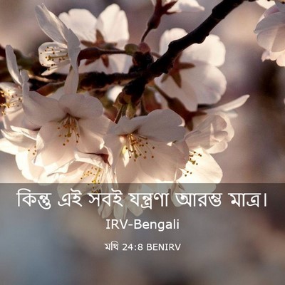 Picture 03 - মথি 24:8 BENIRV - কিন্তু এই সবই - Bible Verse Picture