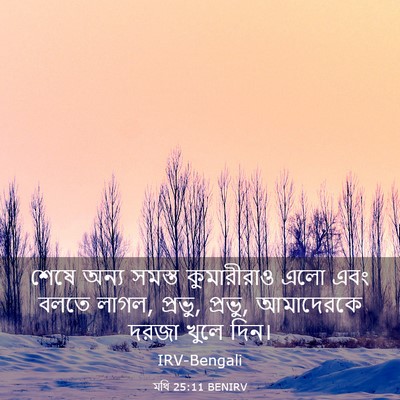 Picture 03 - মথি 25:11 BENIRV - শেষে অন্য সমস্ত - Bible Verse Picture