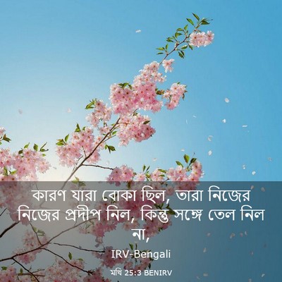 Picture 03 - মথি 25:3 BENIRV - কারণ যারা বোকা ছিল, - Bible Verse Picture