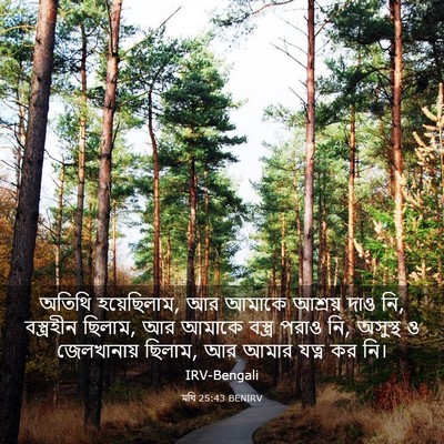 Picture 03 - মথি 25:43 BENIRV - অতিথি হয়েছিলাম, - Bible Verse Picture