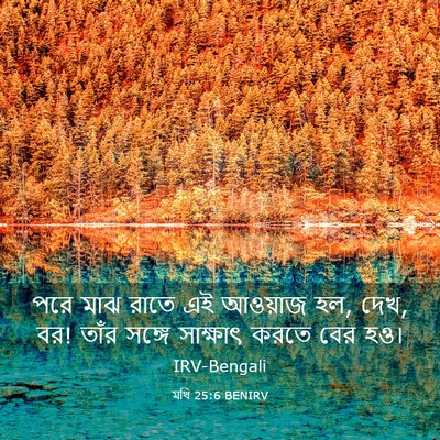 Picture 03 - মথি 25:6 BENIRV - পরে মাঝ রাতে এই - Bible Verse Picture
