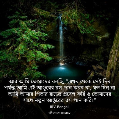 Picture 03 - মথি 26:29 BENIRV - আর আমি তোমাদের - Bible Verse Picture