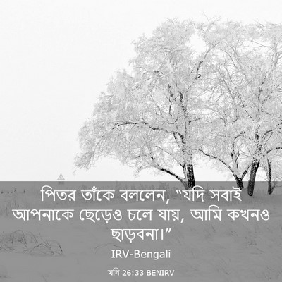 Picture 03 - মথি 26:33 BENIRV - পিতর তাঁকে বললেন, - Bible Verse Picture