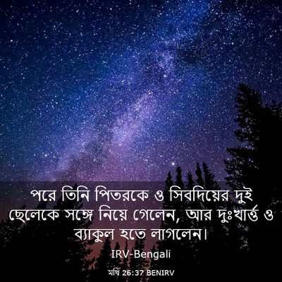 Picture 03 - মথি 26:37 BENIRV - পরে তিনি পিতরকে ও - Bible Verse Picture