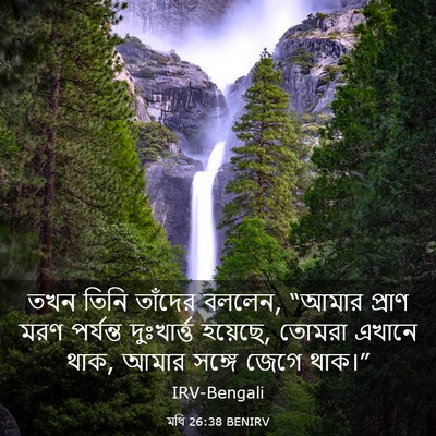 Picture 03 - মথি 26:38 BENIRV - তখন তিনি তাঁদের - Bible Verse Picture