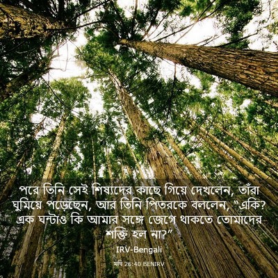 Picture 03 - মথি 26:40 BENIRV - পরে তিনি সেই - Bible Verse Picture