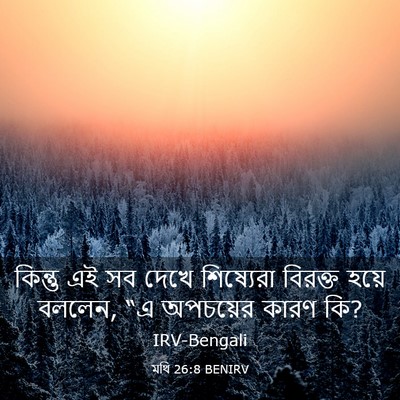 Picture 03 - মথি 26:8 BENIRV - কিন্তু এই সব দেখে - Bible Verse Picture