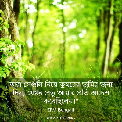 Picture 03 - মথি 27:10 BENIRV - তারা সেগুলি নিয়ে - Bible Verse Picture