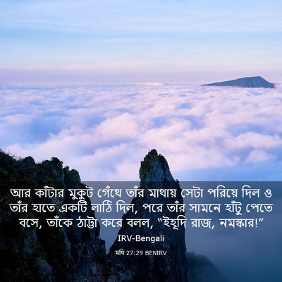 Picture 03 - মথি 27:29 BENIRV - আর কাঁটার মুকুট - Bible Verse Picture