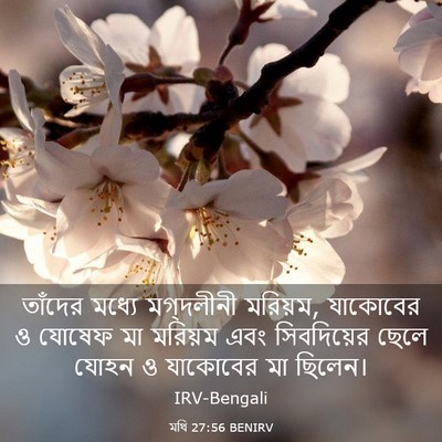 Picture 03 - মথি 27:56 BENIRV - তাঁদের মধ্যে - Bible Verse Picture