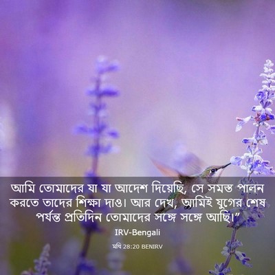 Picture 03 - মথি 28:20 BENIRV - আমি তোমাদের যা যা - Bible Verse Picture