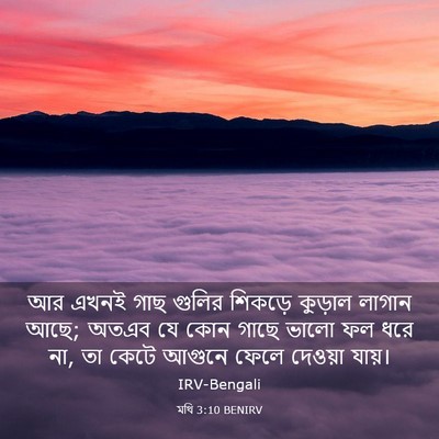 Picture 03 - মথি 3:10 BENIRV - আর এখনই গাছ গুলির - Bible Verse Picture