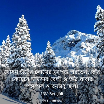 Picture 03 - মথি 3:4 BENIRV - যোহন উটের লোমের - Bible Verse Picture