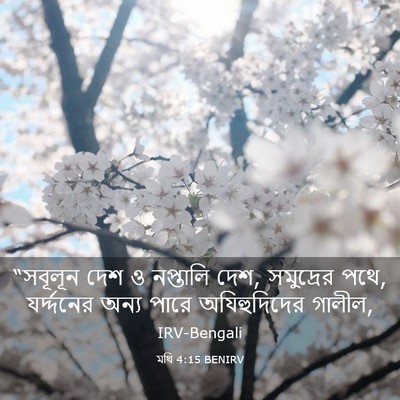 Picture 03 - মথি 4:15 BENIRV - “সবূলূন দেশ ও - Bible Verse Picture