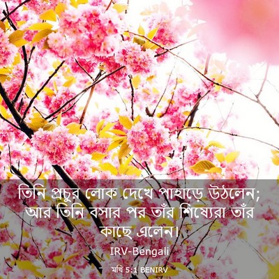 Picture 03 - মথি 5:1 BENIRV - তিনি প্রচুর লোক - Bible Verse Picture