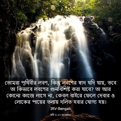 Picture 03 - মথি 5:13 BENIRV - তোমরা পৃথিবীর লবণ, - Bible Verse Picture