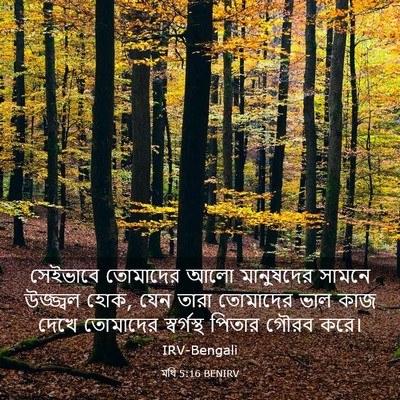 Picture 03 - মথি 5:16 BENIRV - সেইভাবে তোমাদের - Bible Verse Picture