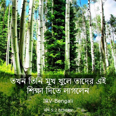 Picture 03 - মথি 5:2 BENIRV - তখন তিনি মুখ খুলে - Bible Verse Picture
