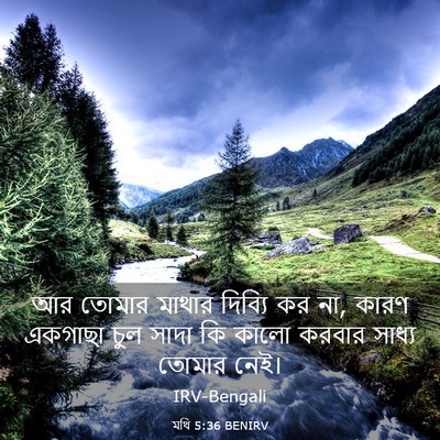 Picture 03 - মথি 5:36 BENIRV - আর তোমার মাথার - Bible Verse Picture