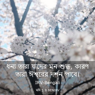 Picture 03 - মথি 5:8 BENIRV - ধন্য তারা যাদের মন - Bible Verse Picture