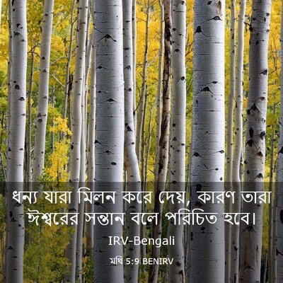 Picture 03 - মথি 5:9 BENIRV - ধন্য যারা মিলন করে - Bible Verse Picture