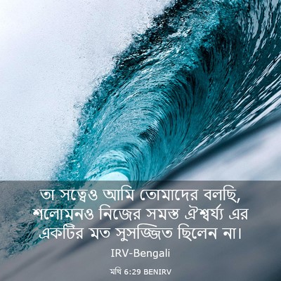 Picture 03 - মথি 6:29 BENIRV - তা সত্বেও আমি - Bible Verse Picture