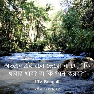 Picture 03 - মথি 6:31 BENIRV - অতএব এই বলে ভেবো না - Bible Verse Picture