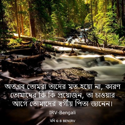 Picture 03 - মথি 6:8 BENIRV - অতএব তোমরা তাদের - Bible Verse Picture