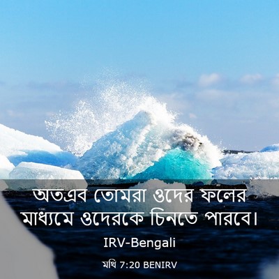 Picture 03 - মথি 7:20 BENIRV - অতএব তোমরা ওদের - Bible Verse Picture