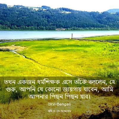 Picture 03 - মথি 8:19 BENIRV - তখন একজন - Bible Verse Picture