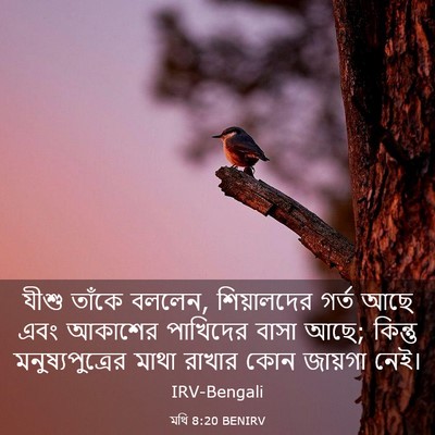 Picture 03 - মথি 8:20 BENIRV - যীশু তাঁকে বললেন, - Bible Verse Picture