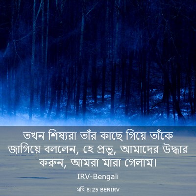 Picture 03 - মথি 8:25 BENIRV - তখন শিষ্যরা তাঁর - Bible Verse Picture