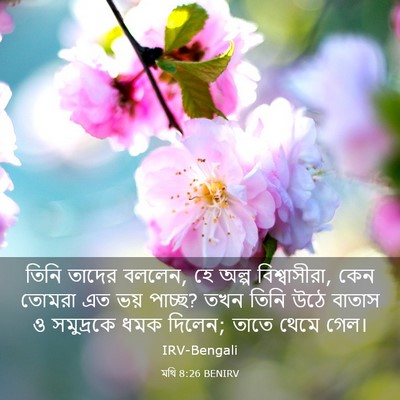 Picture 03 - মথি 8:26 BENIRV - তিনি তাদের বললেন, - Bible Verse Picture