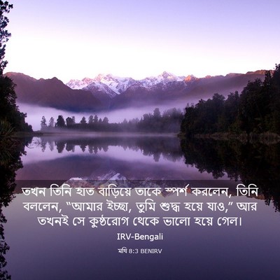 Picture 03 - মথি 8:3 BENIRV - তখন তিনি হাত - Bible Verse Picture