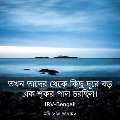 Picture 03 - মথি 8:30 BENIRV - তখন তাদের থেকে - Bible Verse Picture