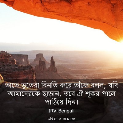 Picture 03 - মথি 8:31 BENIRV - তাতে ভূতেরা বিনতি - Bible Verse Picture