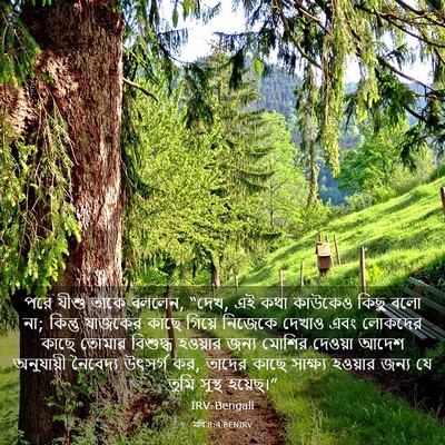 Picture 03 - মথি 8:4 BENIRV - পরে যীশু তাকে - Bible Verse Picture