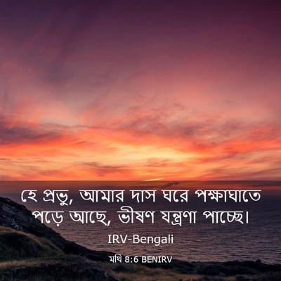 Picture 03 - মথি 8:6 BENIRV - হে প্রভু, আমার দাস - Bible Verse Picture