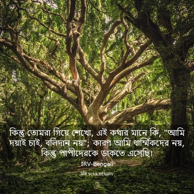 Picture 03 - মথি 9:13 BENIRV - কিন্তু তোমরা - Bible Verse Picture