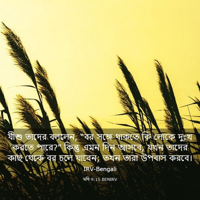Picture 03 - মথি 9:15 BENIRV - যীশু তাদের বললেন, - Bible Verse Picture