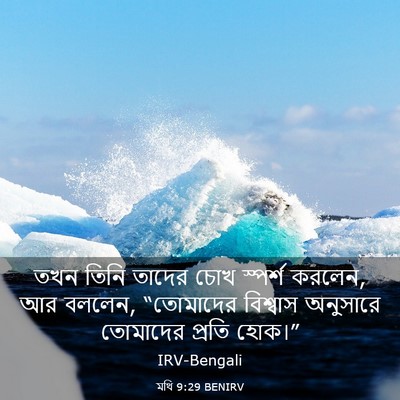 Picture 03 - মথি 9:29 BENIRV - তখন তিনি তাদের চোখ - Bible Verse Picture
