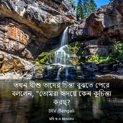 Picture 03 - মথি 9:4 BENIRV - তখন যীশু তাদের - Bible Verse Picture