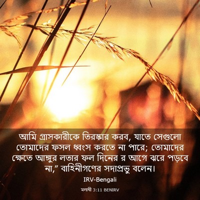 Picture 03 - মলাখী 3:11 BENIRV - আমি গ্রাসকারীকে - Bible Verse Picture