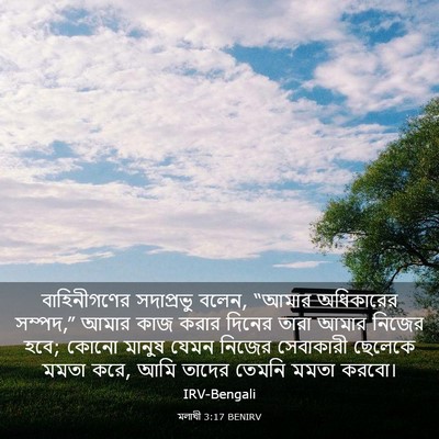 Picture 03 - মলাখী 3:17 BENIRV - বাহিনীগণের - Bible Verse Picture