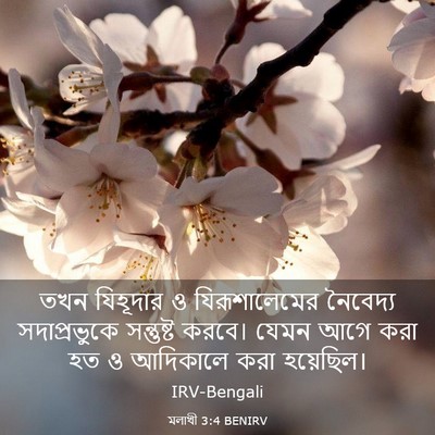 Picture 03 - মলাখী 3:4 BENIRV - তখন যিহূদার ও - Bible Verse Picture