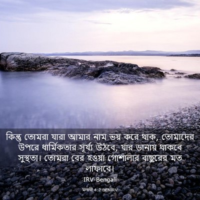 Picture 03 - মলাখী 4:2 BENIRV - কিন্তু তোমরা যারা - Bible Verse Picture