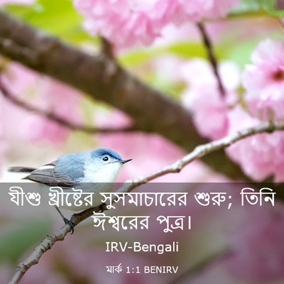Picture 03 - মার্ক 1:1 BENIRV - যীশু খ্রীষ্টের - Bible Verse Picture