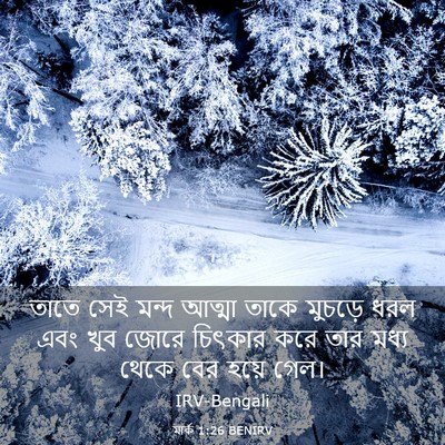 Picture 03 - মার্ক 1:26 BENIRV - তাতে সেই মন্দ - Bible Verse Picture