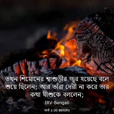 Picture 03 - মার্ক 1:30 BENIRV - তখন শিমোনের - Bible Verse Picture